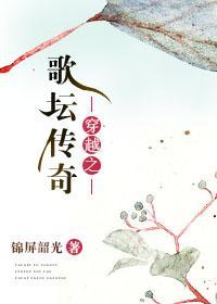 穿越之歌坛传奇封面