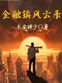 金融镇风云录封面