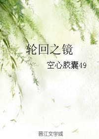 轮回之镜封面