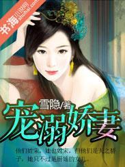 宠溺娇妻：爱你没商量封面