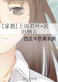 [家教]上田若叶=沢田纲吉封面