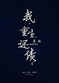 我，重生，还债封面