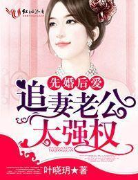 先婚后爱，追妻老公太强权封面