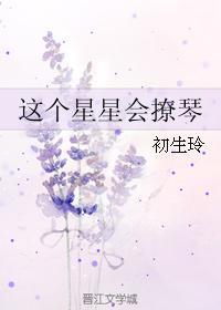 这个星星会撩琴封面