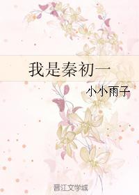 我是秦初一封面