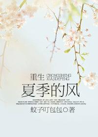 重生 夏季的风封面
