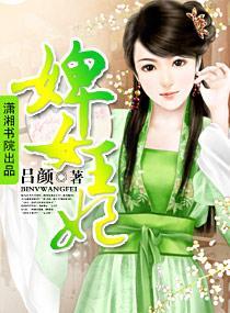 婢女王妃封面