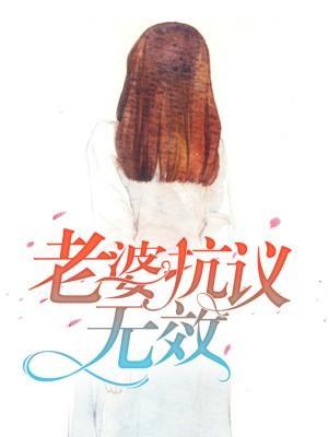 老婆抗议无效封面