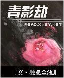 青影劫封面