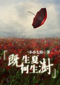 既生夏何生封面