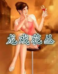 龙戏花丛封面