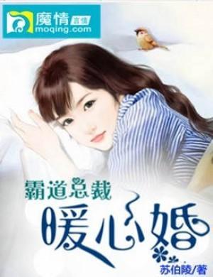 霸道总裁暖心婚封面
