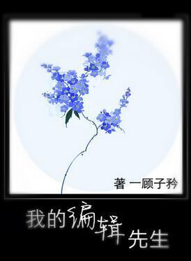 我的编辑先生封面