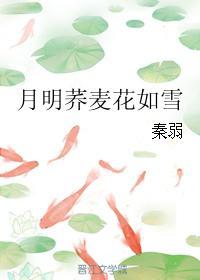 月明荞麦花如雪封面