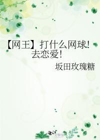 打什么网球！去恋爱！封面