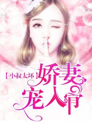 小叔太坏：娇妻宠入骨封面