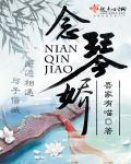 念琴娇封面
