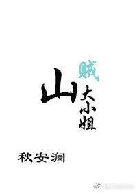 山贼大小姐封面