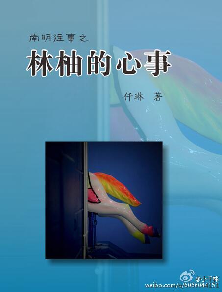 林柚的心事封面