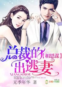 相思谋，总裁的出逃妻封面