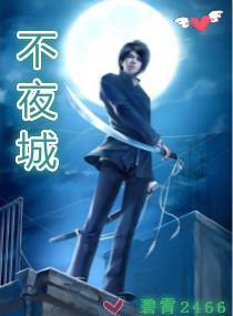 不夜城封面