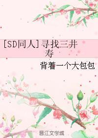 [SD同人]寻找三井寿封面