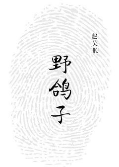 野鸽子封面