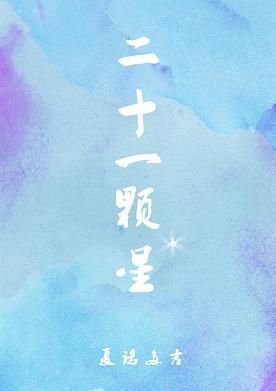 二十一颗星封面