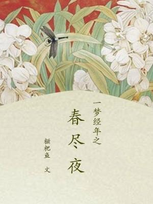 一梦经年之春尽夜封面