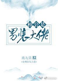 相公是男装大佬封面