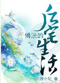 傅沅的后宅生活封面