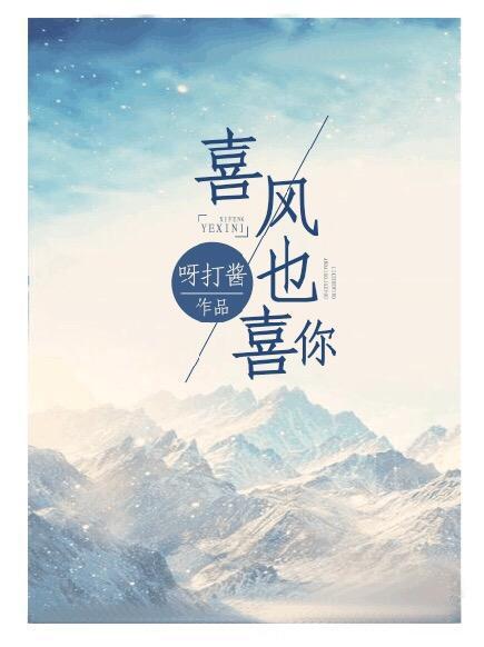 喜风也喜你封面