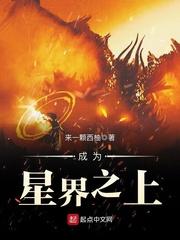 成为星界之上封面