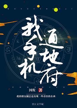 我手机通冥府封面