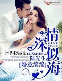 婚意绵绵，陆先生情深似海封面