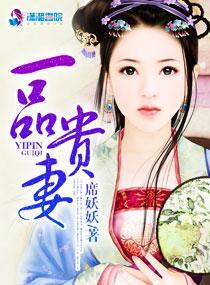 一品贵妻封面