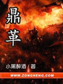 鼎革封面