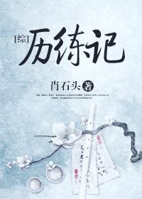 [综]历练记封面