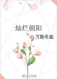 灿烂朝阳封面
