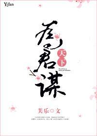 天下为君谋封面