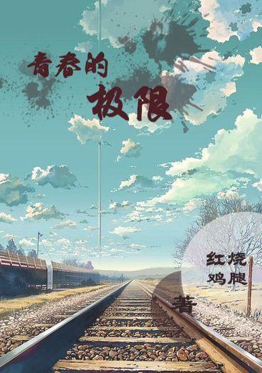 青春的极限封面