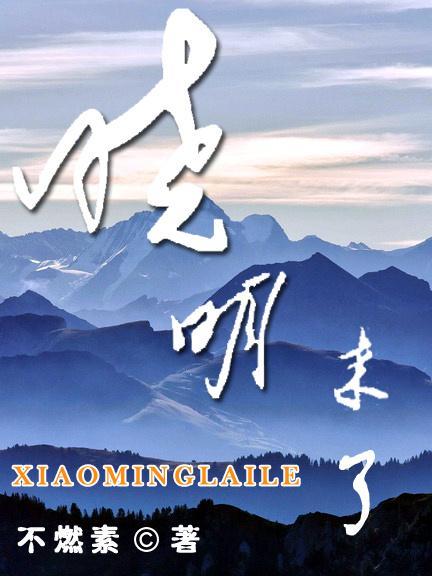 晓明来啦封面