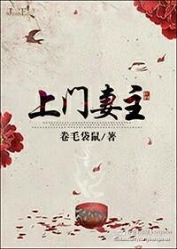 上门妻主封面