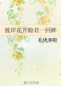 彼岸花开盼君一回眸封面