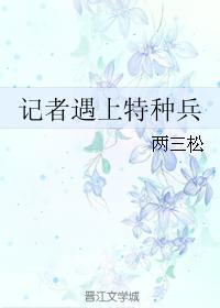 记者遇上特种兵封面