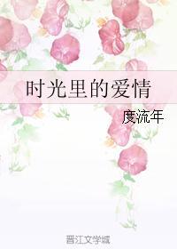 时光里的爱情封面