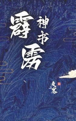 霹雳神书封面