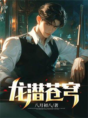 龙潜苍穹封面
