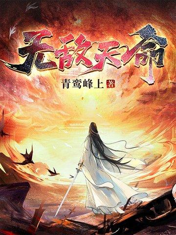 无敌天命封面