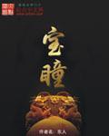 宝瞳封面